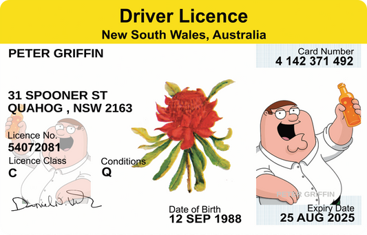 PETER GRIFFIN DRIVER LICENSE