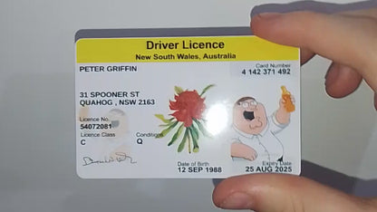 PETER GRIFFIN DRIVER LICENSE